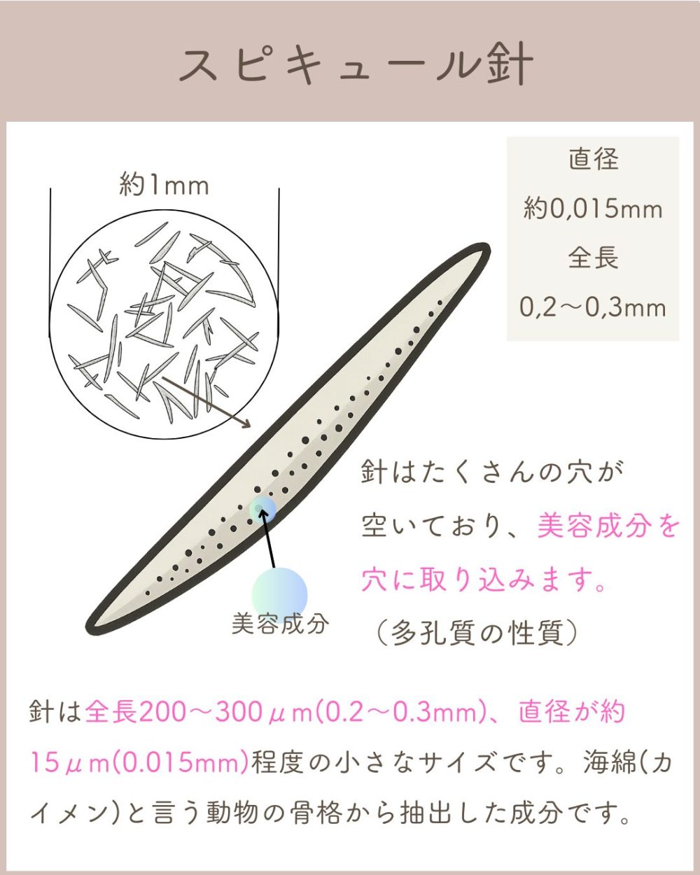 スピキュール針美容液